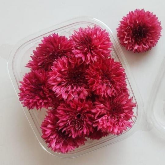 زهور العنبر الحمراء