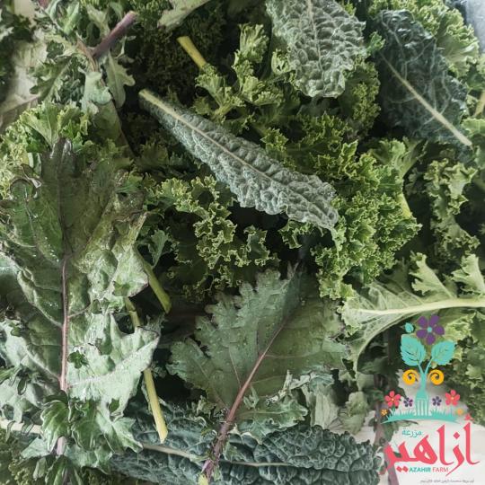 ميكس كيل - كجم